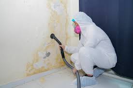 Why You Should Choose Our Mold Remediation Services in White Castle, LA